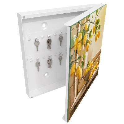 Key cabinet Lemon freshness