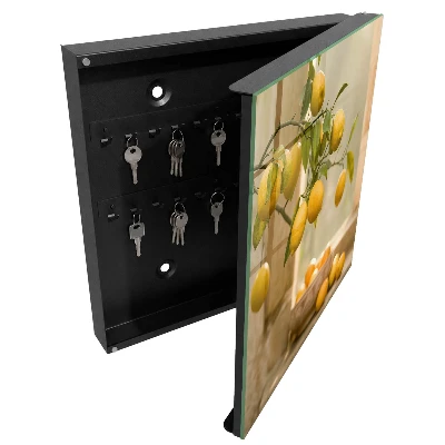 Key box for wall Lemon charm