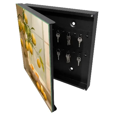 Key box for wall Lemon charm