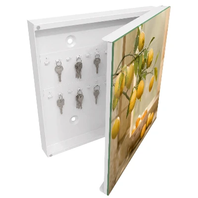 Key box for wall Lemon charm