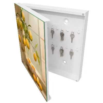 Key box for wall Lemon charm