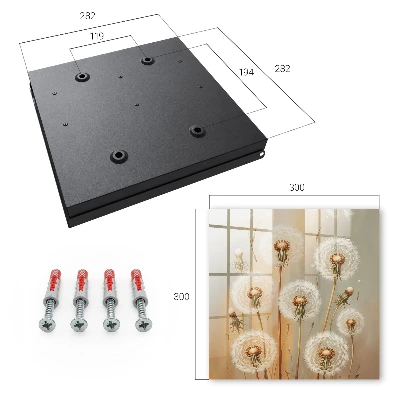 Wall mounted key box Dandelions beauty