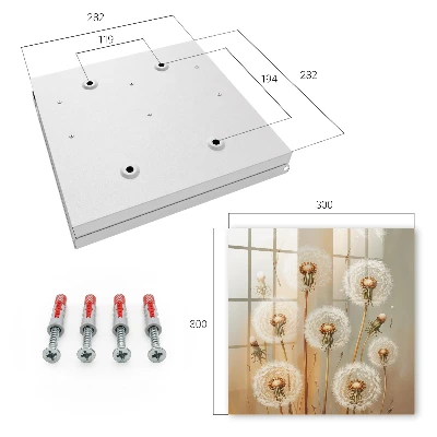 Wall mounted key box Dandelions beauty
