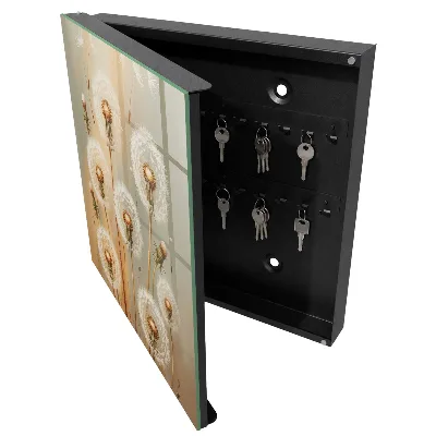 Wall mounted key box Dandelions beauty