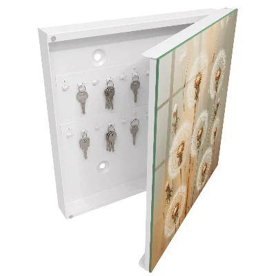 Wall mounted key box Dandelions beauty