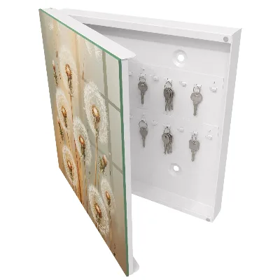 Wall mounted key box Dandelions beauty