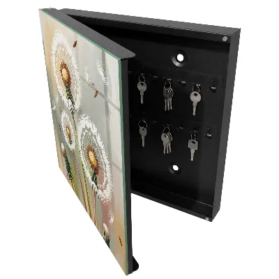 Key cabinet Delicate dandelions