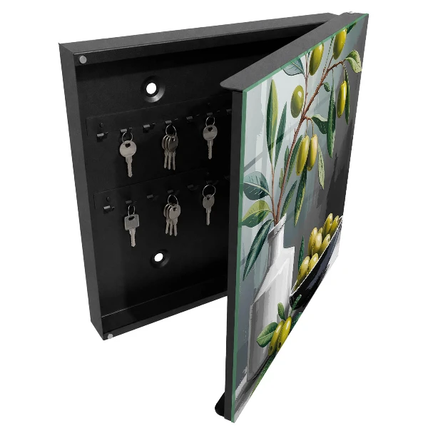 Key box for wall Olive green