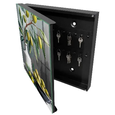 Key box for wall Olive green