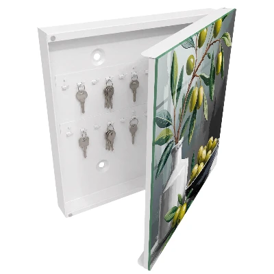 Key box for wall Olive green