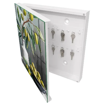 Key box for wall Olive green