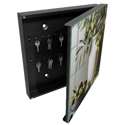 Wall mounted key box Olive nature