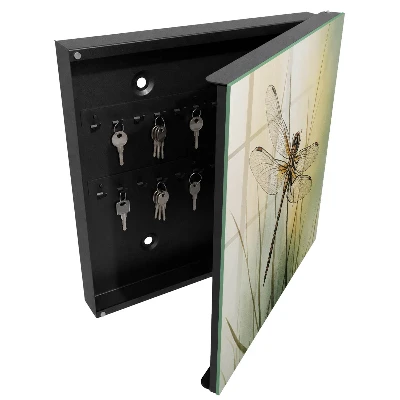Key box for wall Dragonfly nature