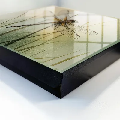 Key box for wall Dragonfly nature