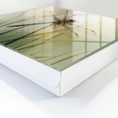 Key box for wall Dragonfly nature