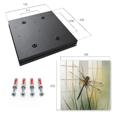 Key box for wall Dragonfly nature