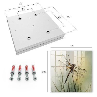Key box for wall Dragonfly nature