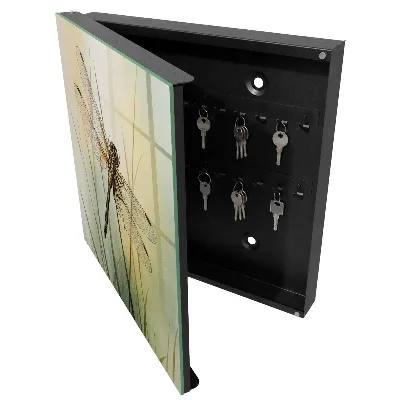 Key box for wall Dragonfly nature