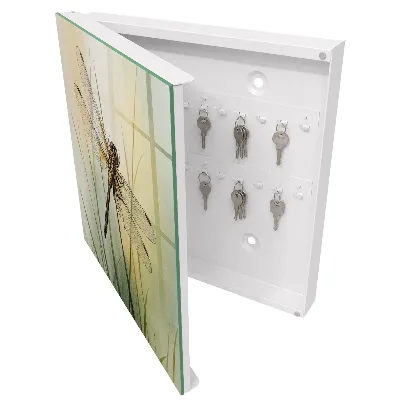 Key box for wall Dragonfly nature