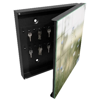 Wall mounted key box Delicate flowers