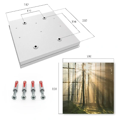 Wall mounted key box Forest light