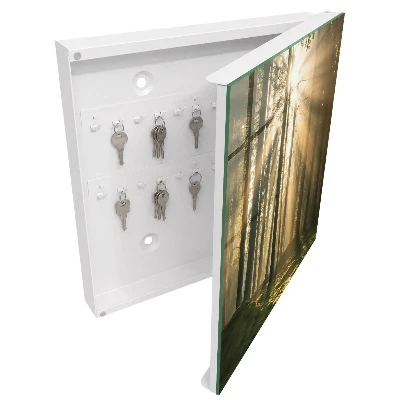 Wall mounted key box Forest light
