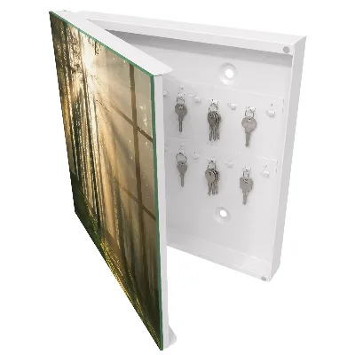 Wall mounted key box Forest light