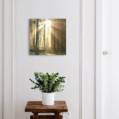 Wall mounted key box Forest light