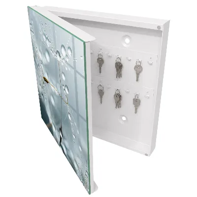Key box for wall Dew drops