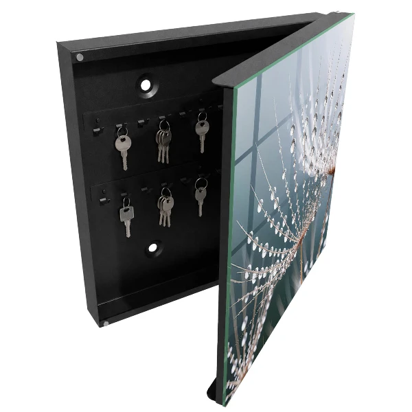 Wall mounted key box Water drops