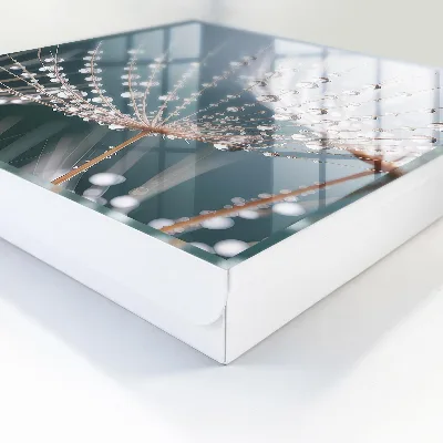 Wall mounted key box Water drops