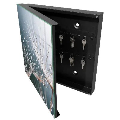 Wall mounted key box Water drops