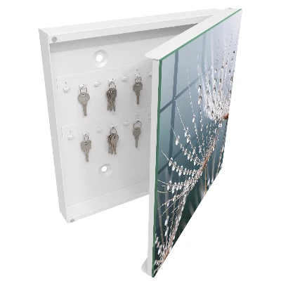 Wall mounted key box Water drops