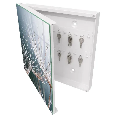 Wall mounted key box Water drops