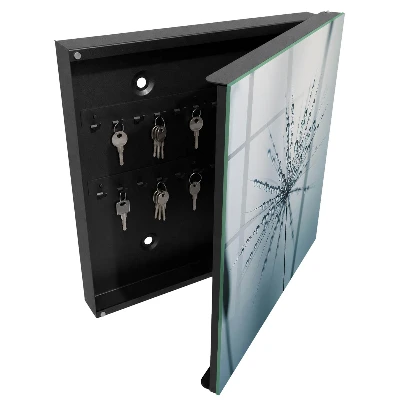 Key cabinet Dandelion and water drops