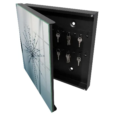 Key cabinet Dandelion and water drops