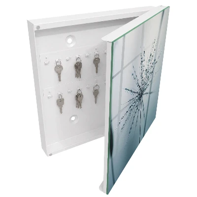 Key cabinet Dandelion and water drops