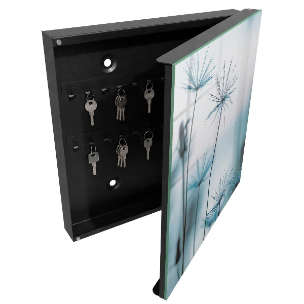 Key box for wall Dandelions and dew