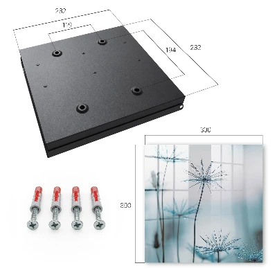 Key box for wall Dandelions and dew