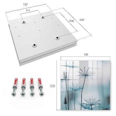 Key box for wall Dandelions and dew