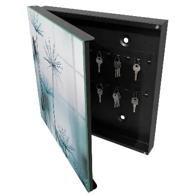 Key box for wall Dandelions and dew