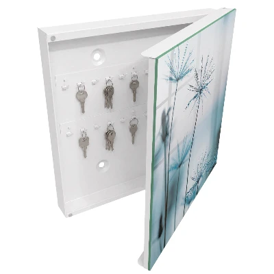 Key box for wall Dandelions and dew