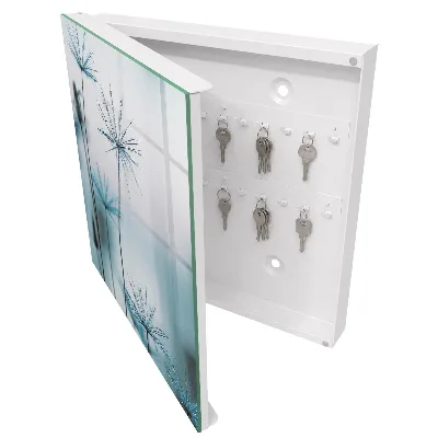 Key box for wall Dandelions and dew