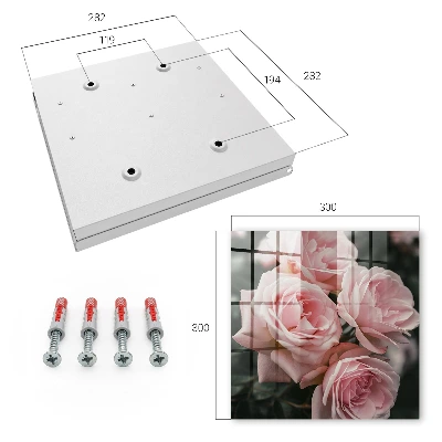 Key cabinet Pink roses