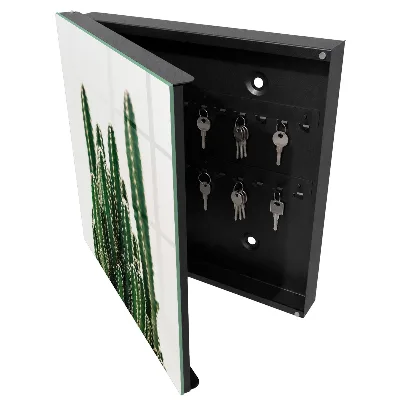 Wall mounted key box Green cacti