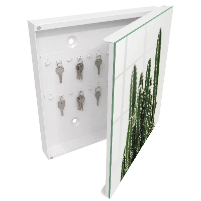 Wall mounted key box Green cacti