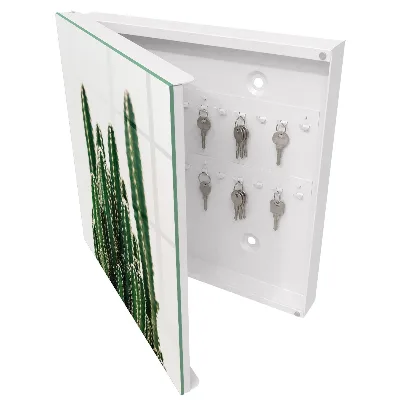 Wall mounted key box Green cacti