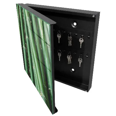 Wall mounted key box Green peace