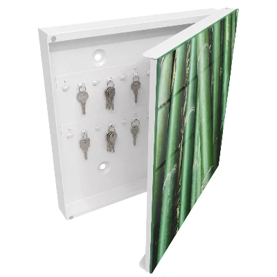 Wall mounted key box Green peace