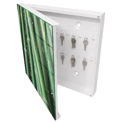 Wall mounted key box Green peace
